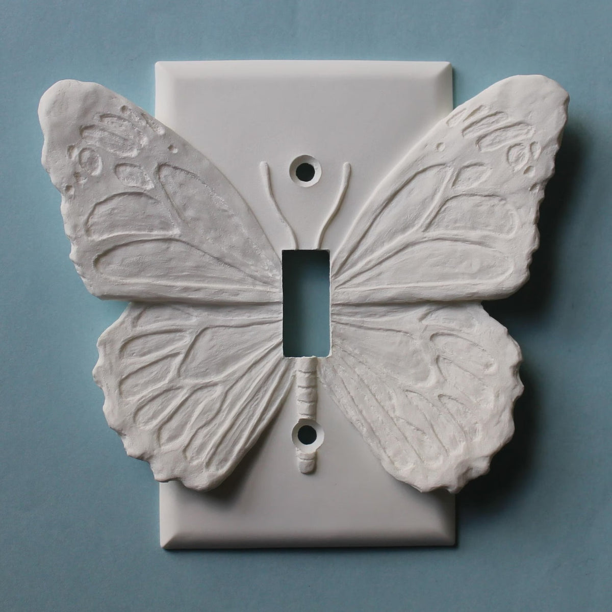 Butterfly Cover